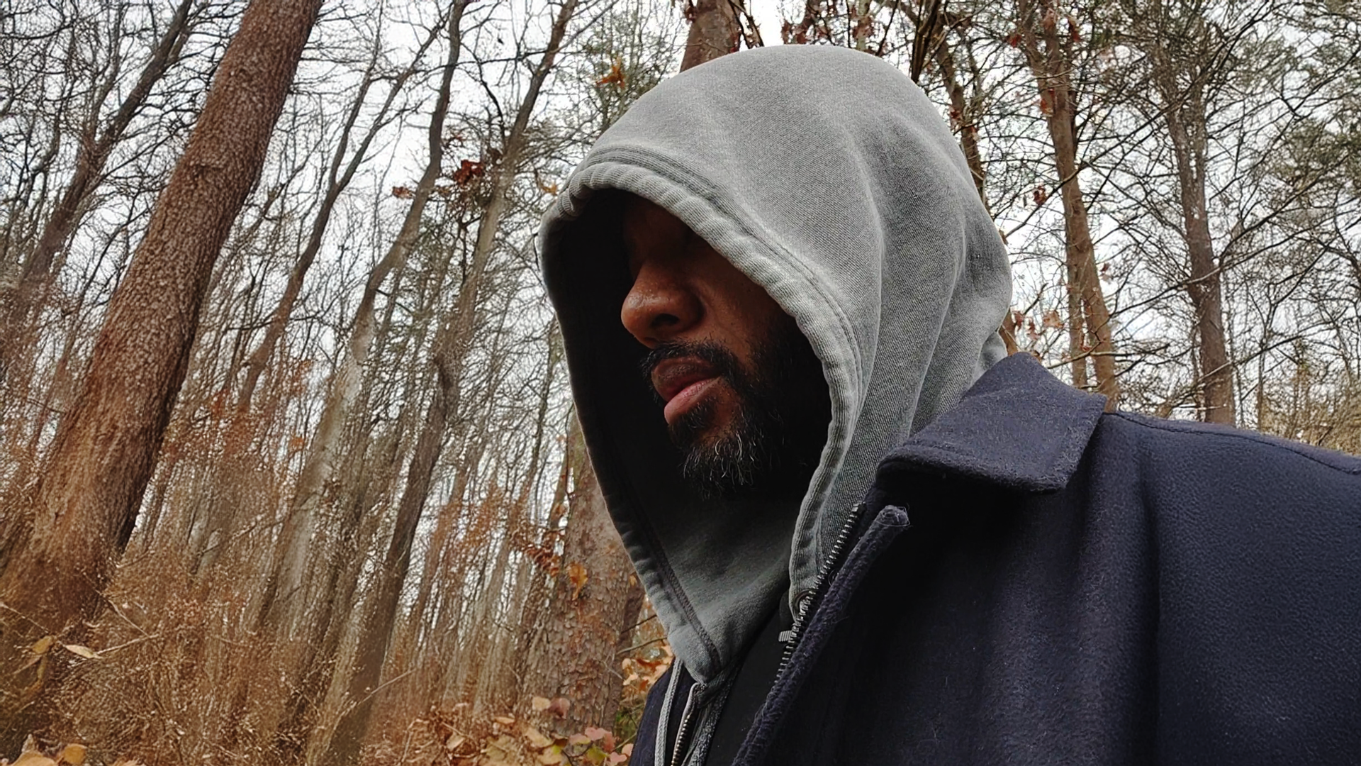 A side profile photograph of Aladdin wearing a black shirt, gray hoodie with the hood covering Aladdin's head, a dark navy-blue overcoat, as he walks in a forest where most of the leaves have fallen from the trees, and a gray cloudy sky.