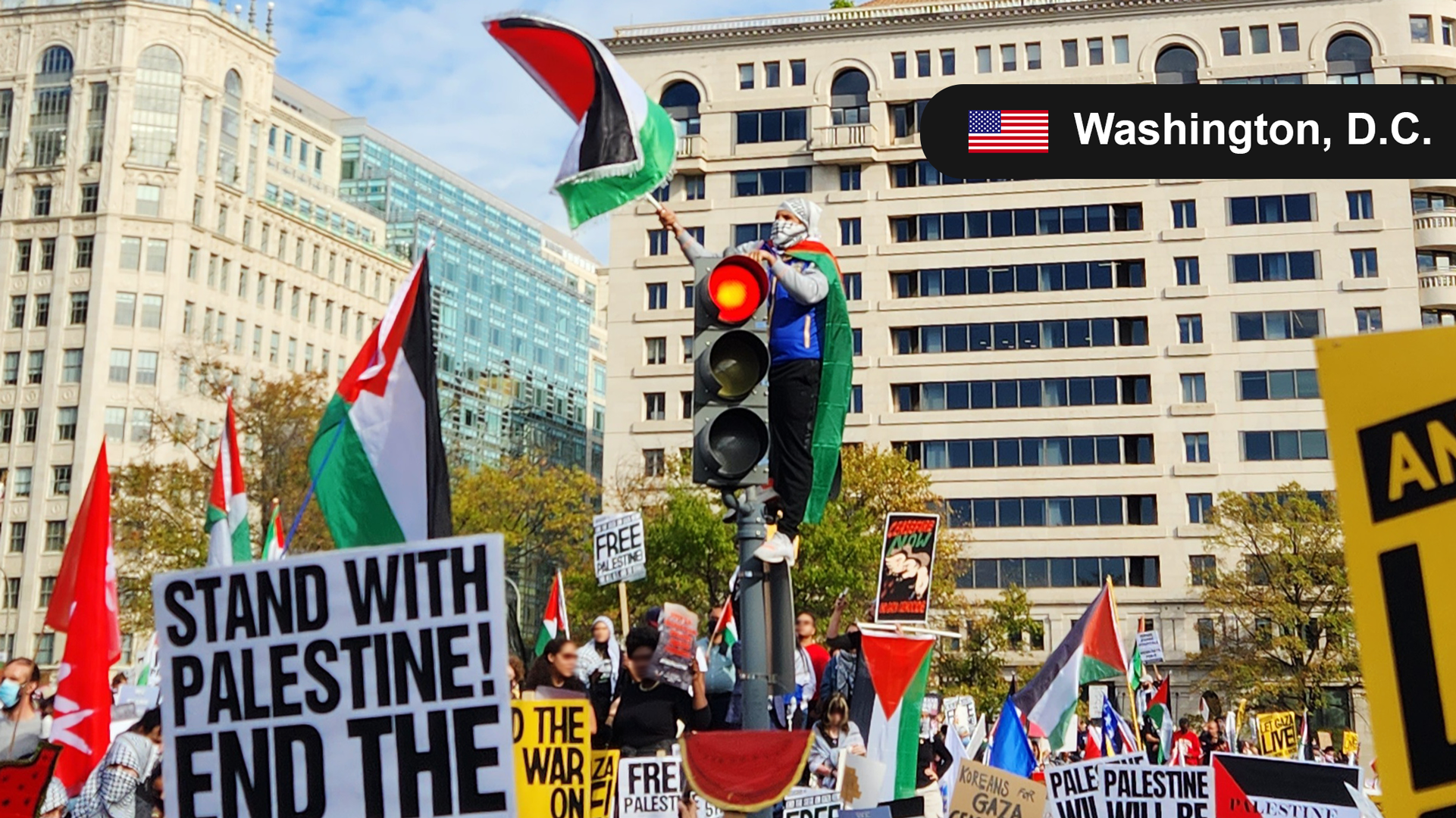 A photograph from an outdoor city plaza, centering on a protester who has climbed a traffic light on its red-light cycle, the protester is wearing a Palestinian flag as a cape, has their head wrapped in a Palestinian Keffiyeh, and is waiving a Palestinian flag during a ceasefire protest in Washington, D.C. from 2023. The traffic light and protester are surrounded by a large crowd of fellow protesters with various anti-war and pro-liberation signs, and various sizes of Palestinian flags.